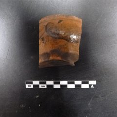 Brown ceramic fragment next to a ruler for size