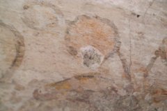Close up image of the Alamo’s frescoes showing the design’s black border.