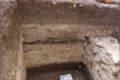 Stick leaning against wall to measure soil levels inside excavation unit