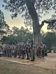 Group of mariachi performers on a wooden dance floor under a pecan tree