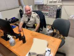 Bella sitting in a chair in the Ranger office