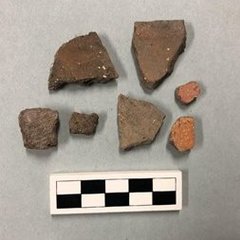 Several fragments of goliac sherds