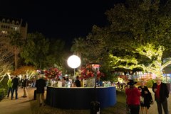 Circular bar set up in Alamo Gardens with large floral arrangements on either side
