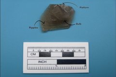 Stone fragment next to a ruler for size