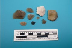 Nine stone fragments next to a ruler for size