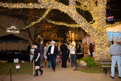 Guests walking under a tree wrapped in string lights during an evening event