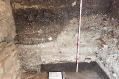 Inside of an excavation unit with a ruler to show depth and layers of soil