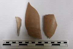 Three fragments from a ginger beer bottle next to a ruler for size