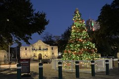 Evening view of Christmas tree in Alamo Plaza