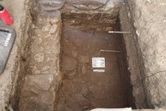 Elevated limestone step layer inside an excavation unit