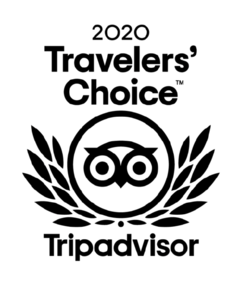 Trip Advisor Travelers' Choice Logo