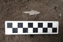 Arrow shaped artifact next to a ruler for size