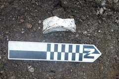 Fragment of decorated earthenware next to a ruler for size