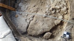 Curved stone footprint in excavation unit, facing north