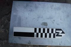 Small, white artifact next to a black and white ruler