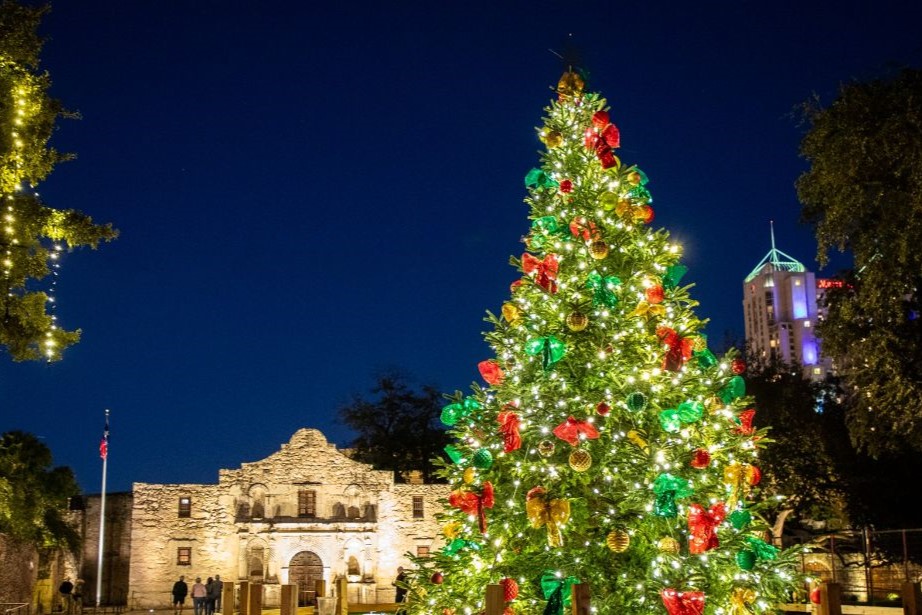 Christmas tree in Alamo Plaza lit up at night