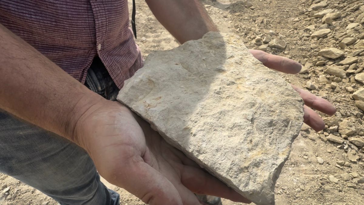 Hands holding a piece of stone