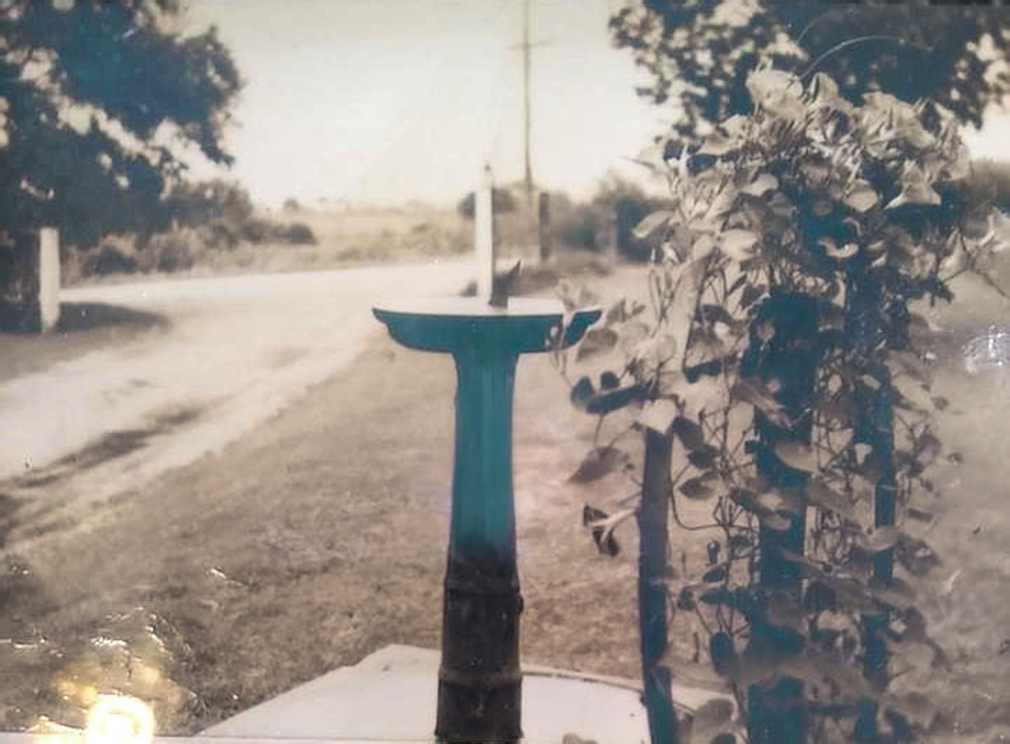 Cannon used as base of bird bath at a ranch