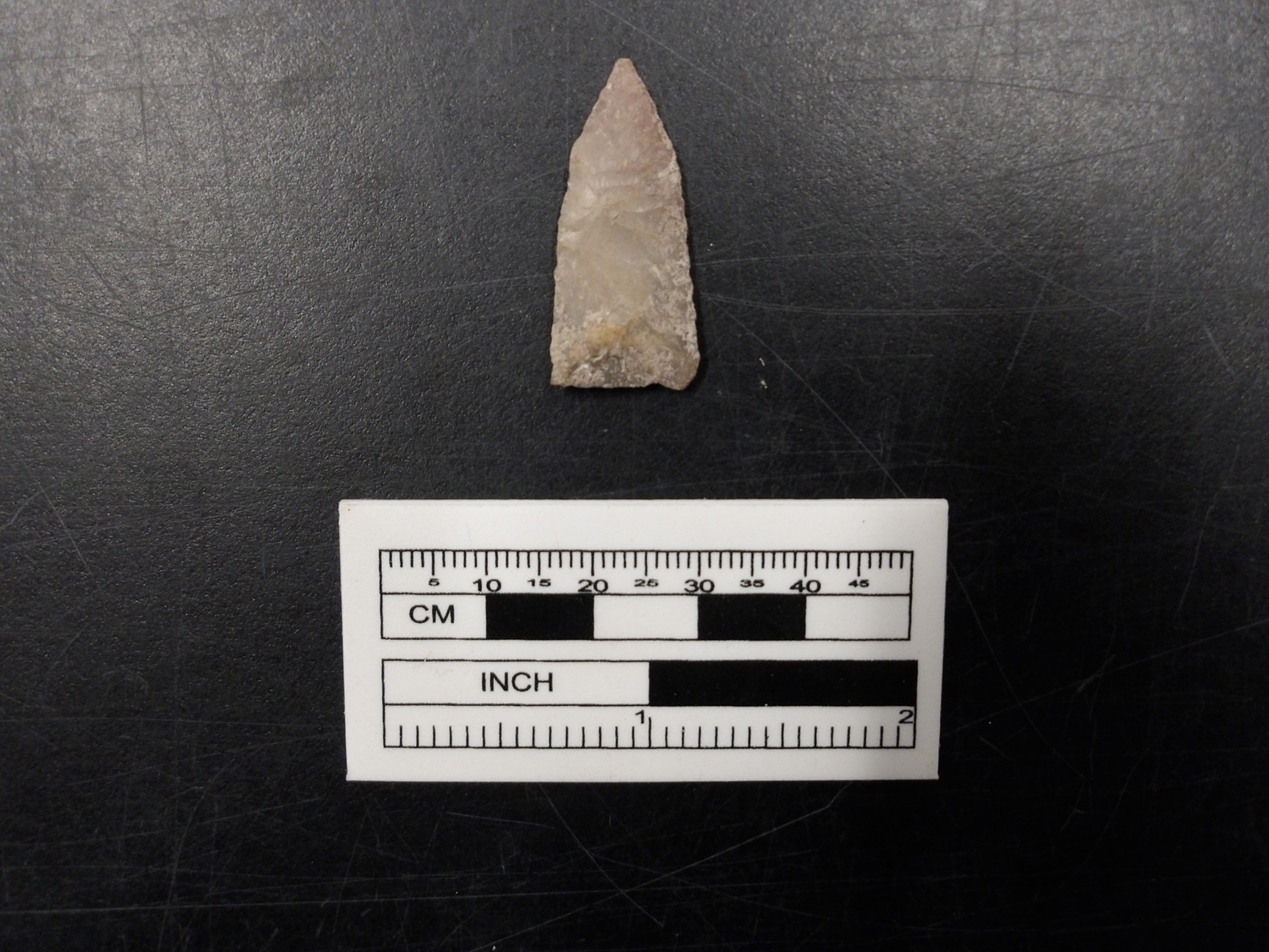 Sharp Guerrero Point next to a ruler for size