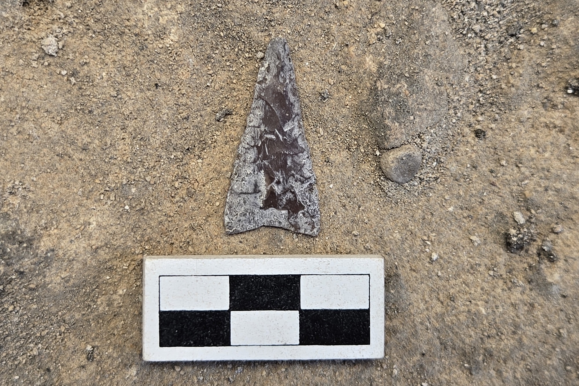 Guerrero point next to a ruler for size