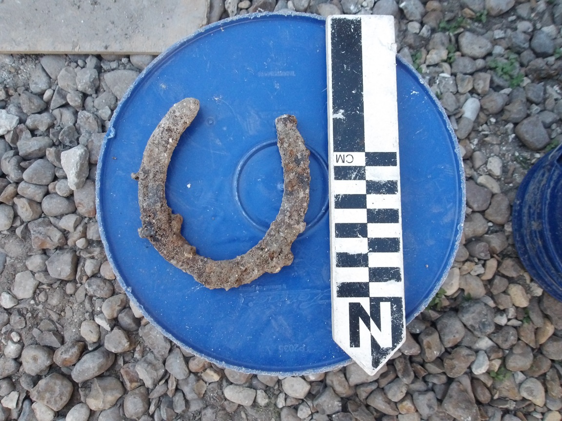 Horseshoe on a round blue plate next to a ruler for size