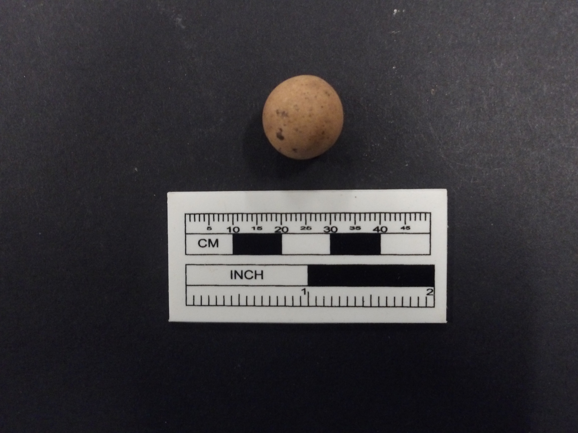 Clay marble recovered from excavation unit next to a ruler for size