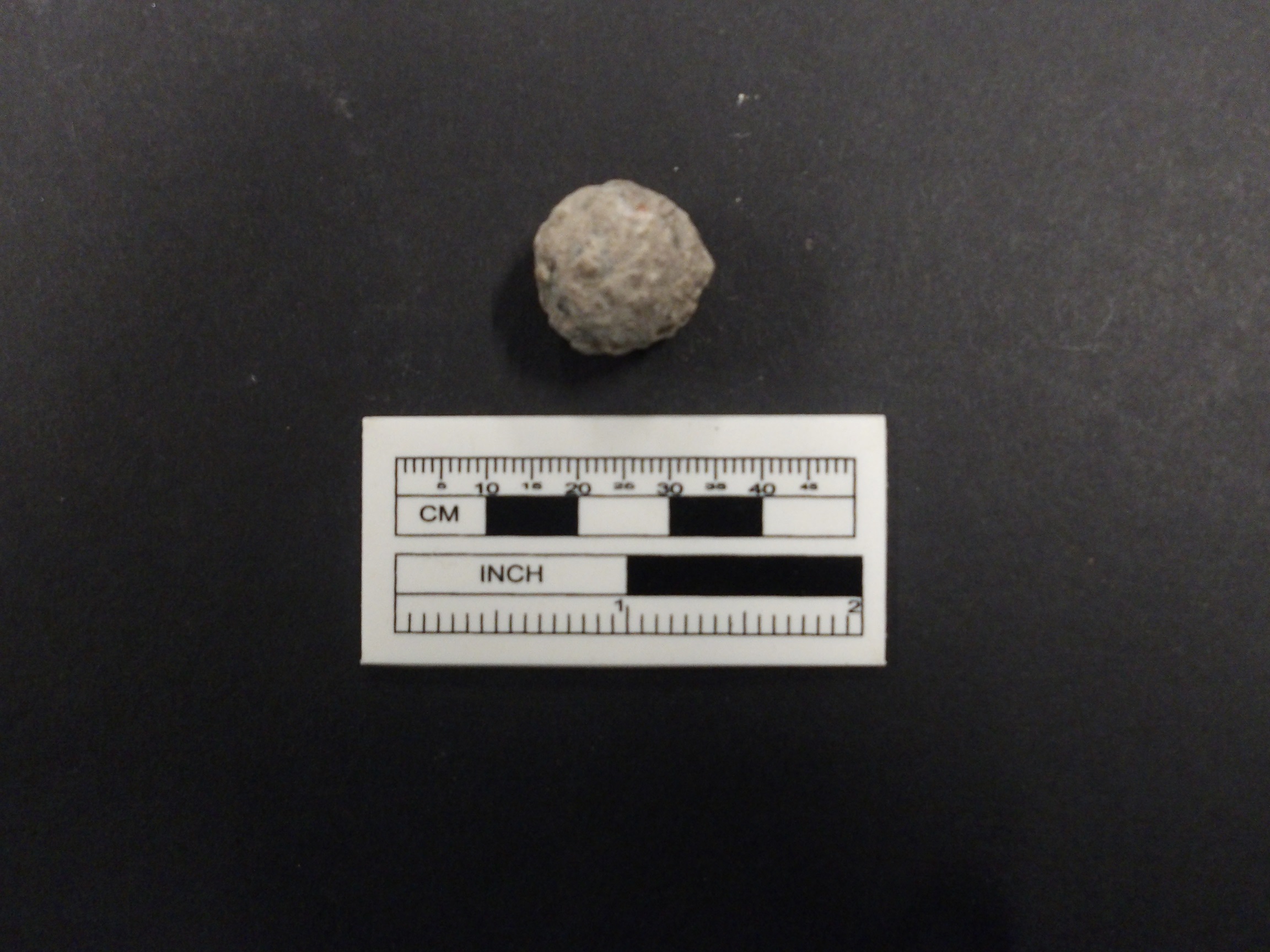 Small musket ball recovered from excavation unit next to a ruler for size