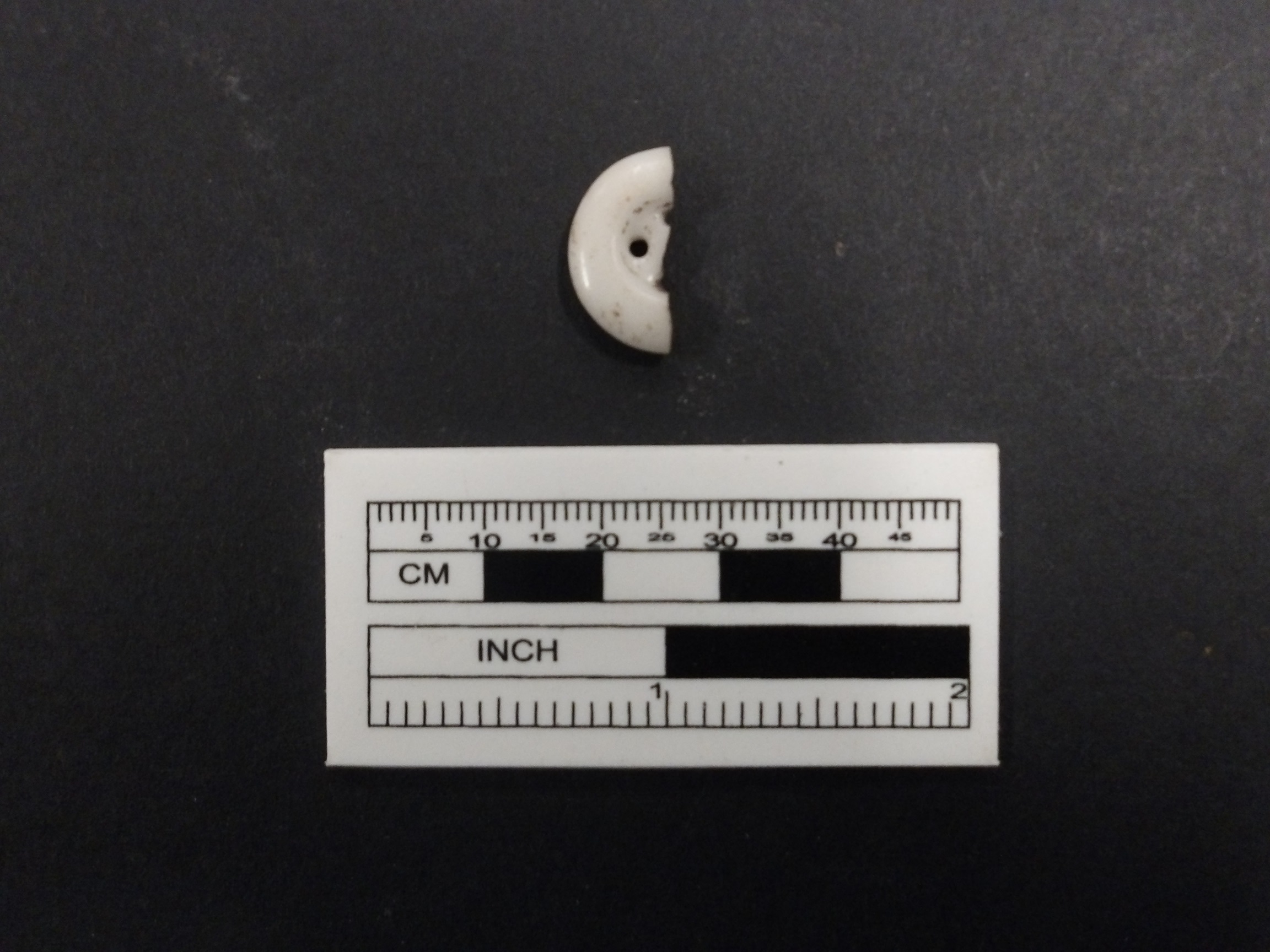 Half of a white modern button recovered from excavation unit next to a ruler for size