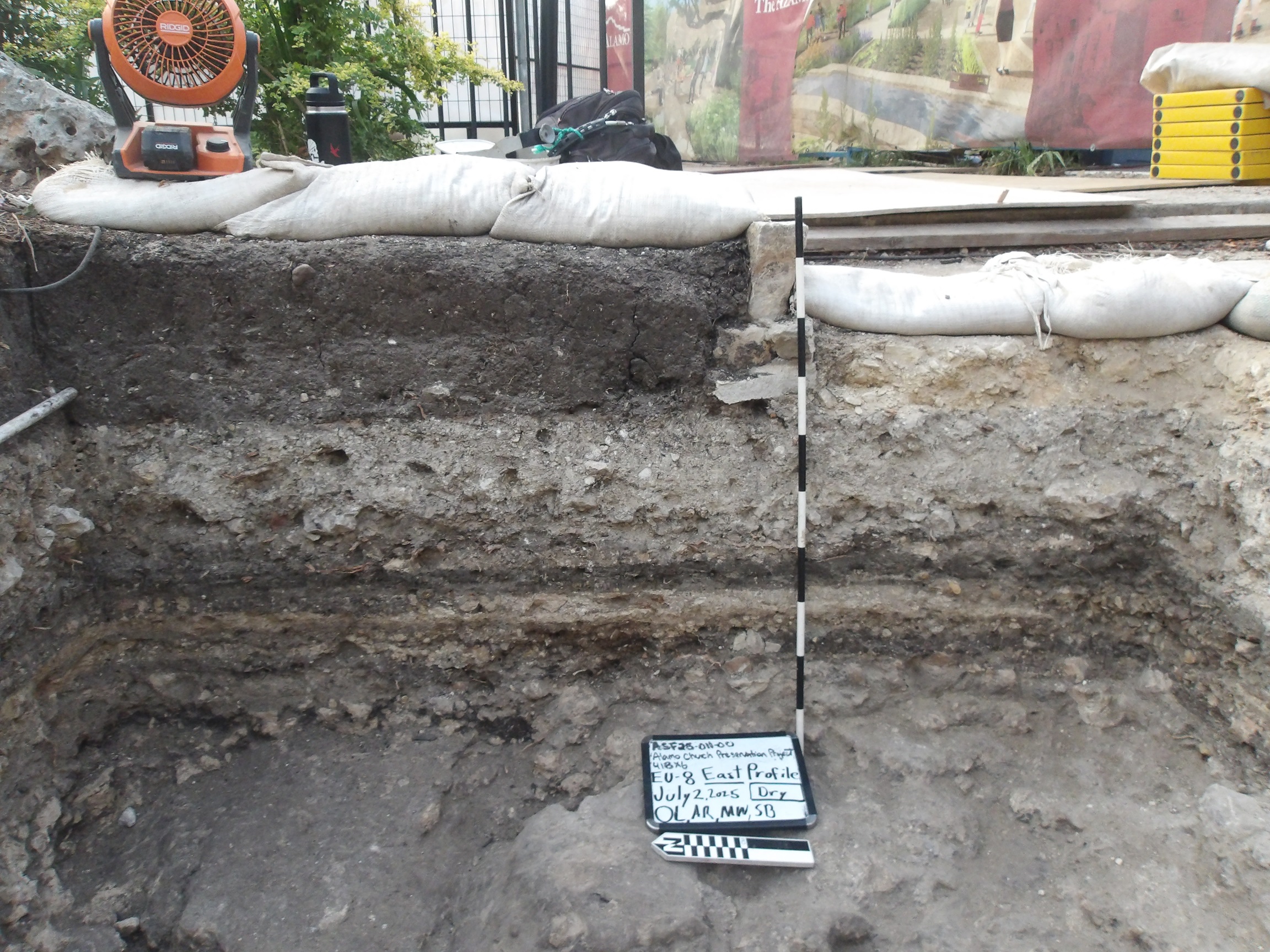 Limestone feature along interior wall of excavation unit