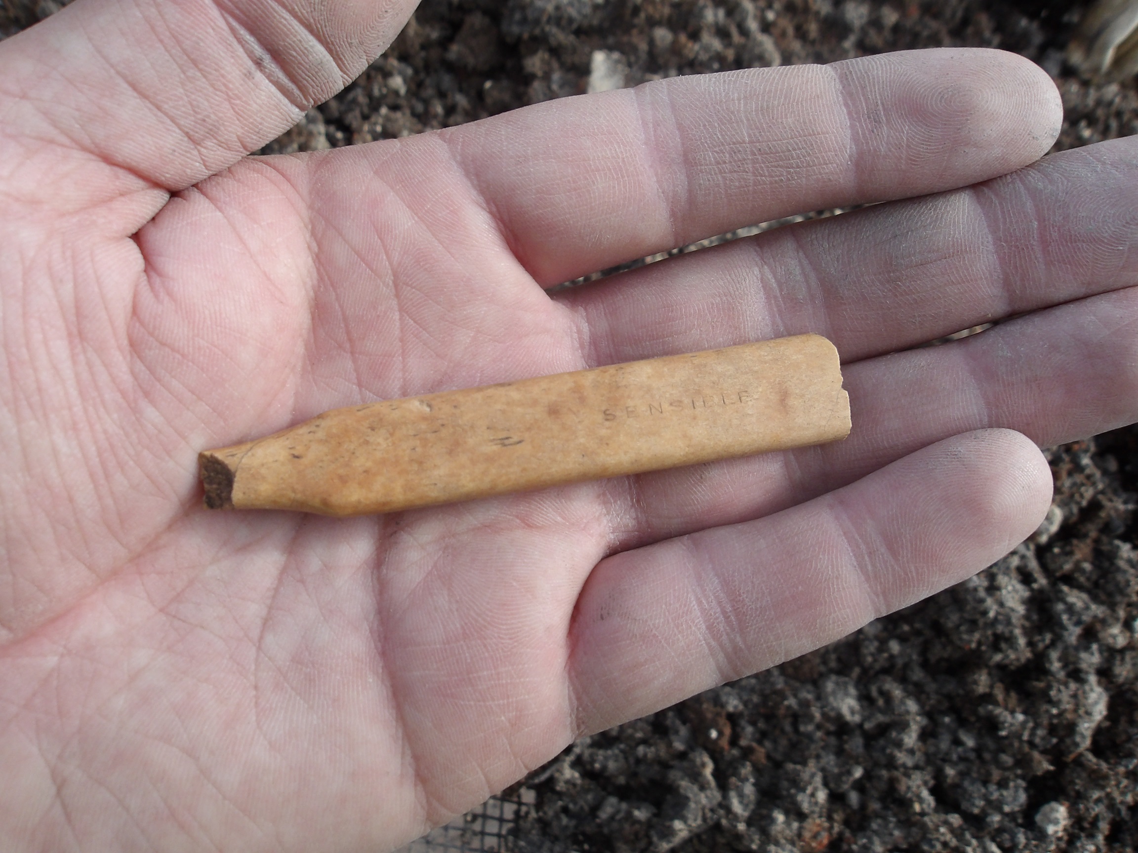 Thin bone handle on the palm on a hand