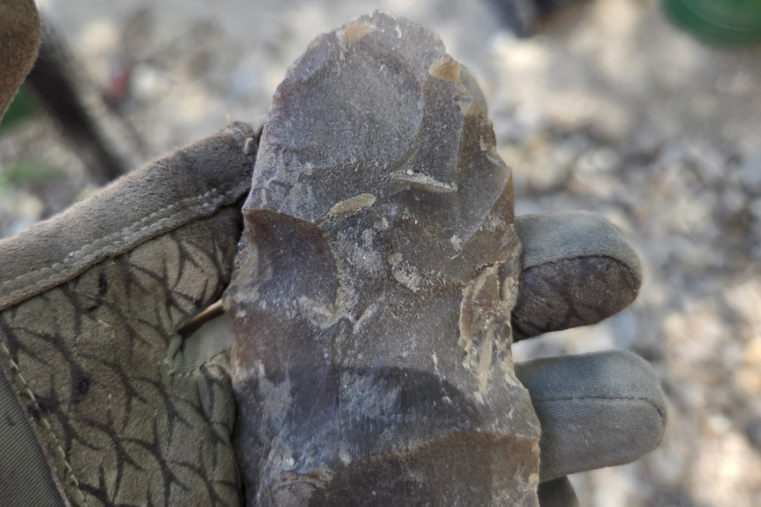Biface fragment held by a gloved hand