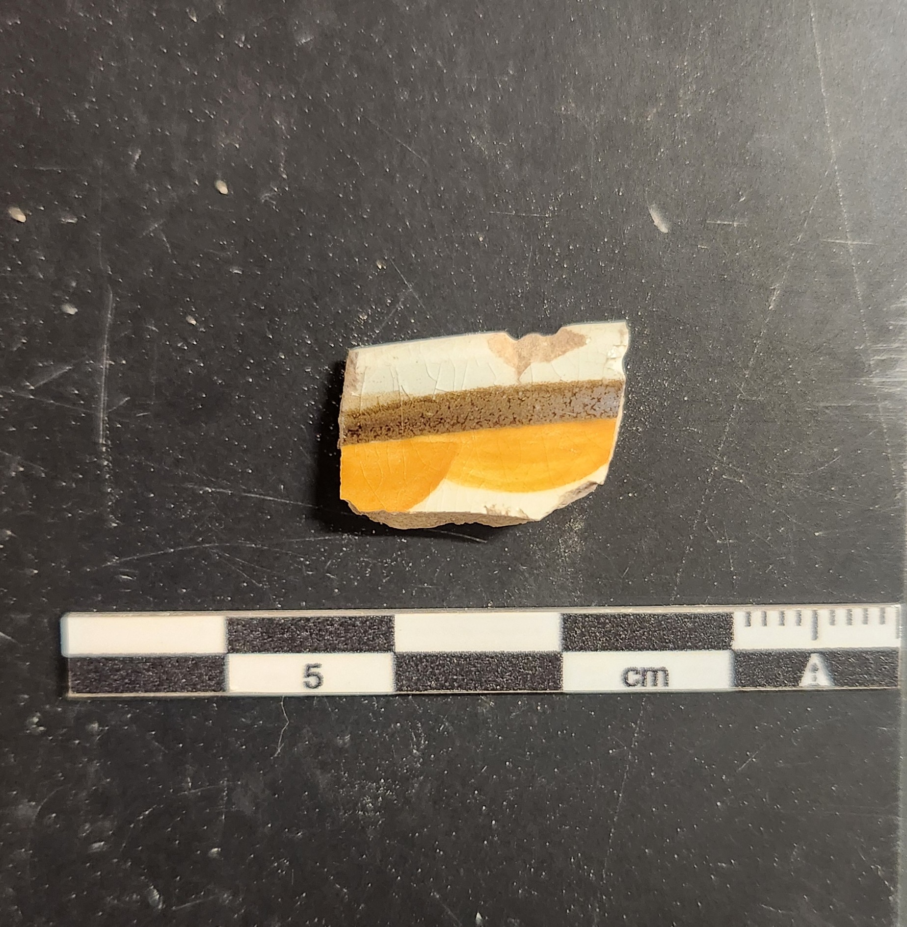 Painted pearlware fragment next to a ruler for size
