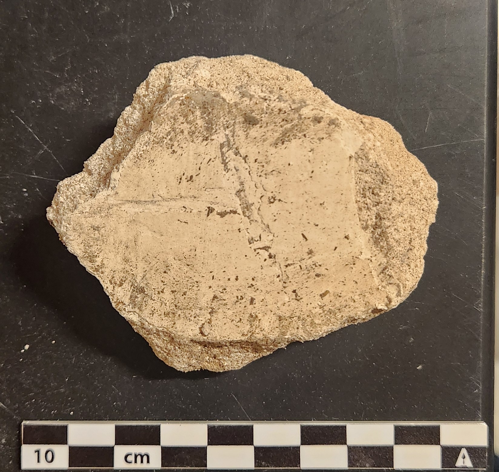 Mortar with plaster artifact from excavation unit