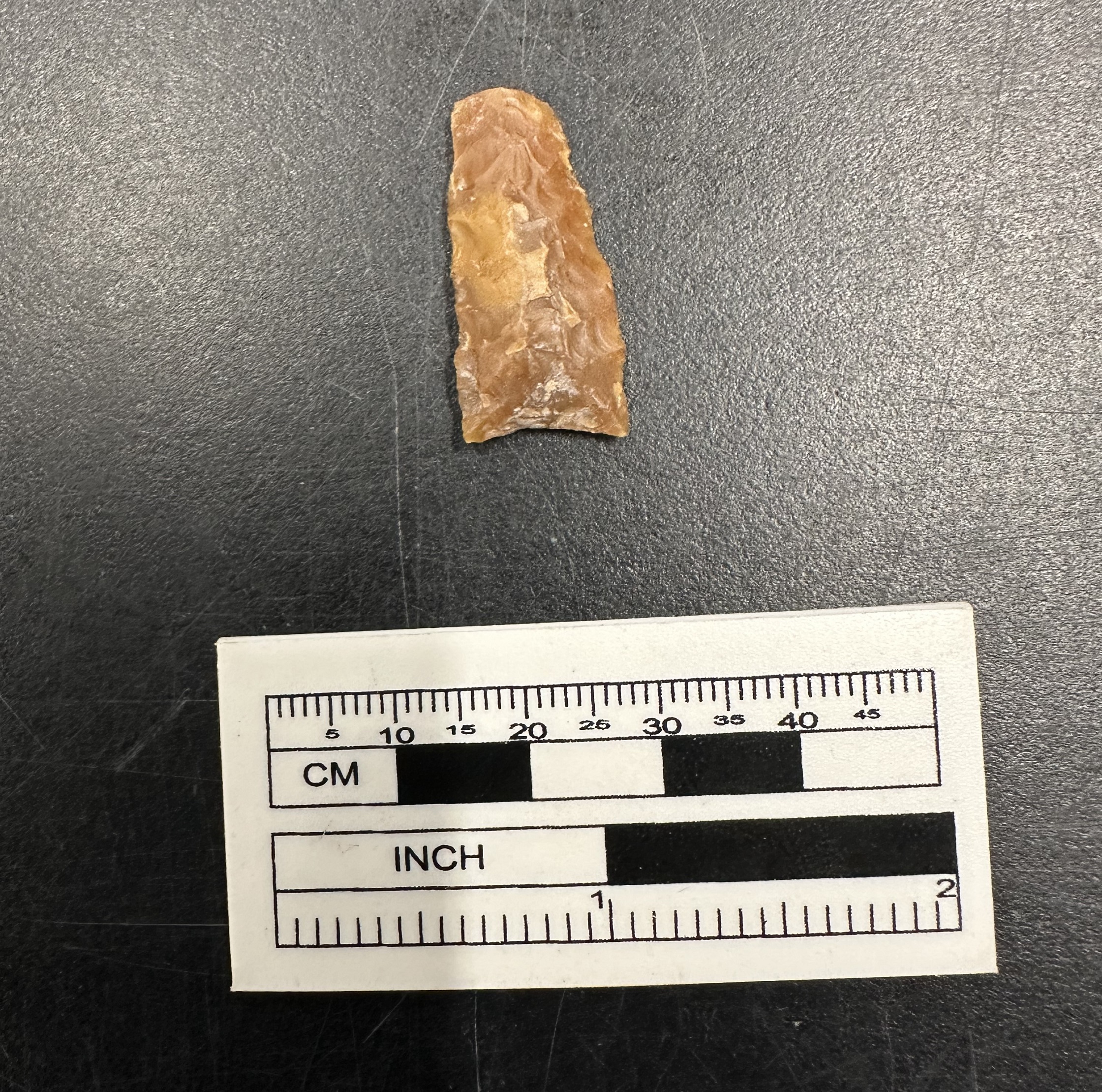 Guerrero Point artifact next to a ruler for size