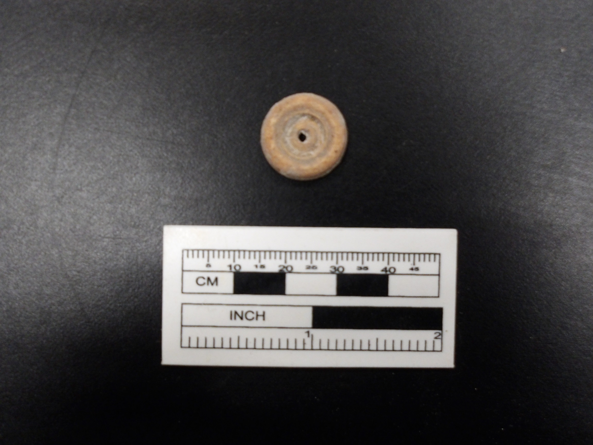 Bone button on a black background next to a ruler for size