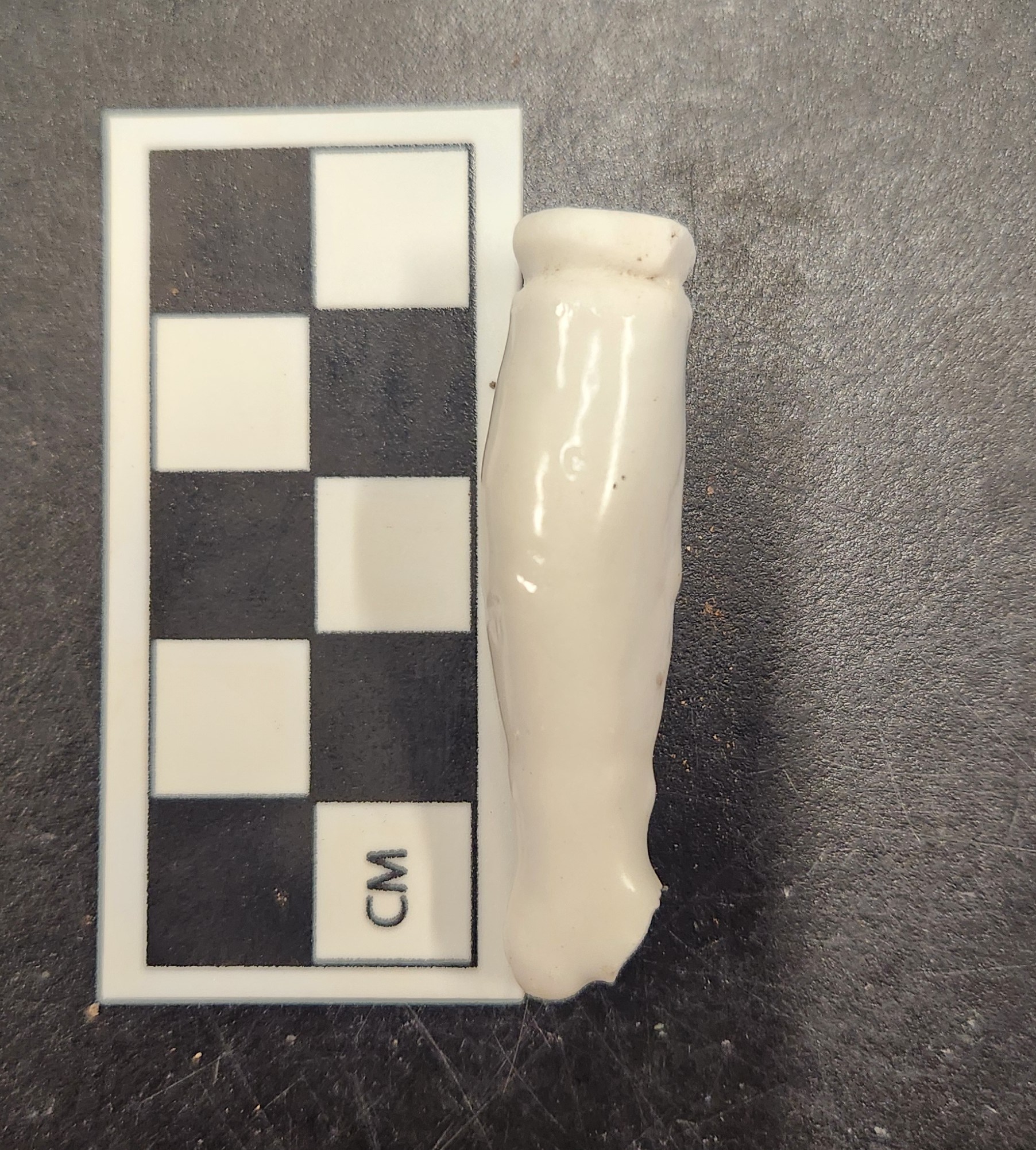 Porcelain dog leg next to a ruler for size