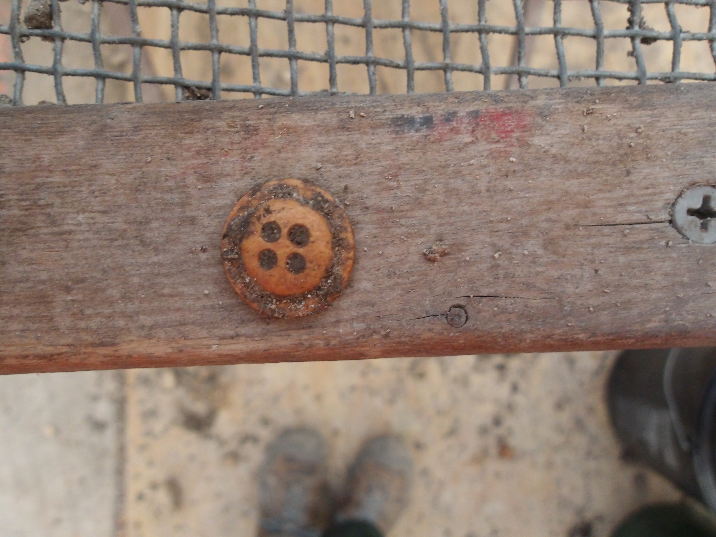 Brown button recovered from an excavation unit