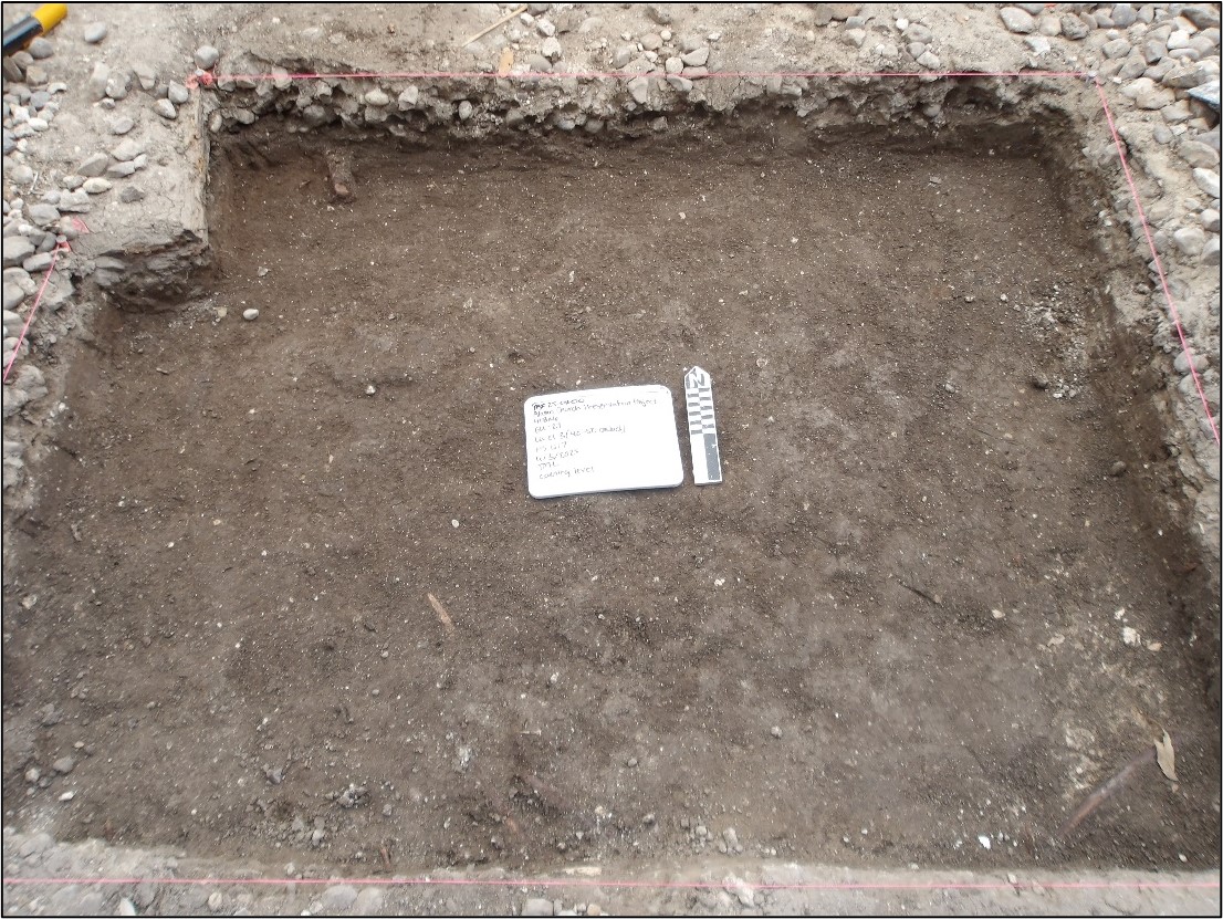 Inside of excavation unit 20 cm below the surface